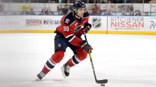 Kitchener Rangers right wing Liam Hawel
