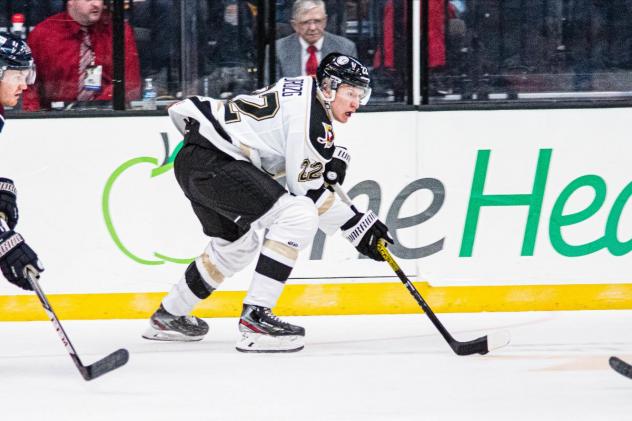 Wheeling Nailers forward Jan Drozg