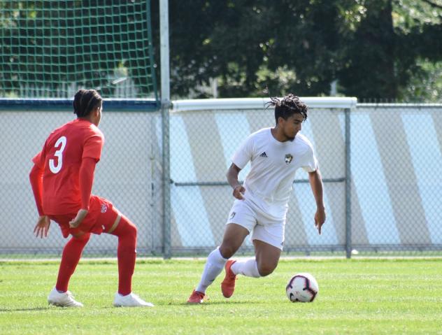 Midfielder/fullback Michel Djaozandry