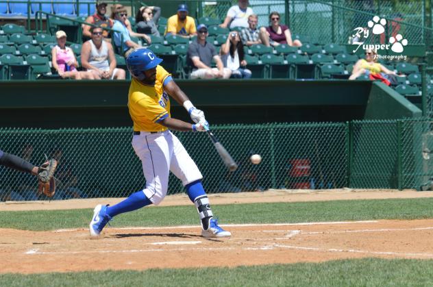 Sioux Falls Canaries outfielder Jabari Henry
