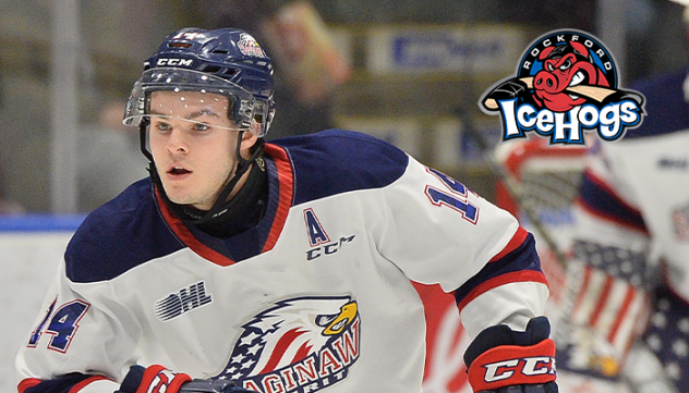 Saginaw Spirit forward/defenseman D.J. Busdeker