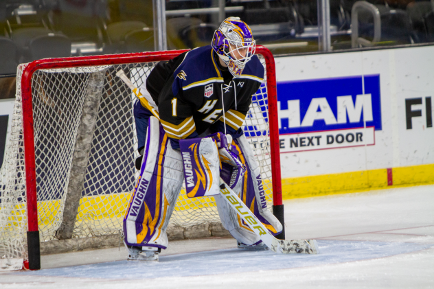 Sioux Falls Stampede goaltender Jaxson Stauber