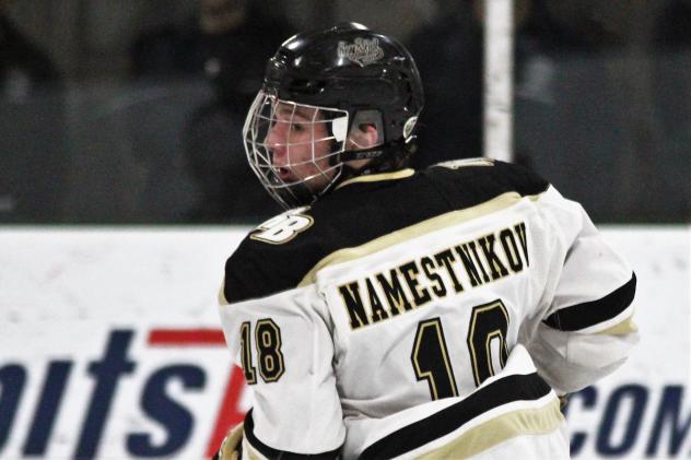 Max Namestnikov