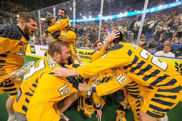 Georgia Swarm celebrate a championship