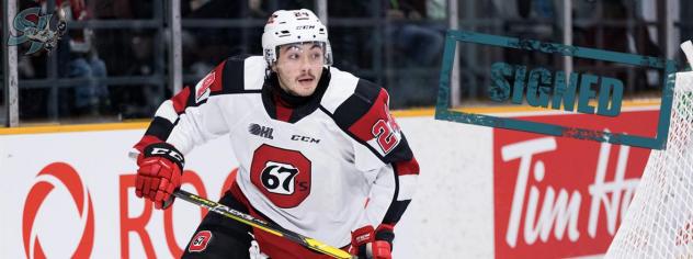 Forward Joseph Garreffa with the Ottawa 67's