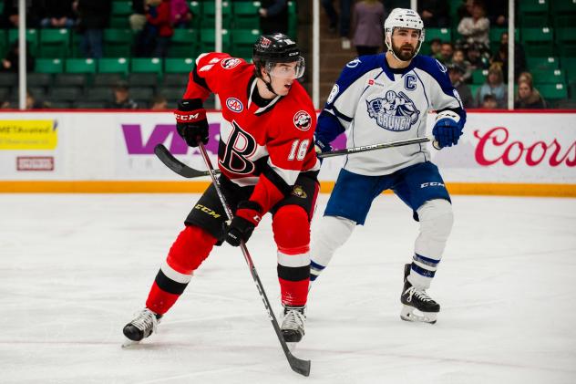 Belleville Senators left wing Joseph Labate