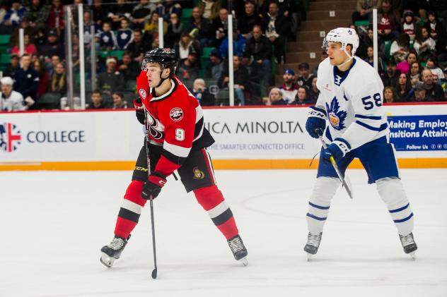 Belleville Senators forward Josh Norris (left)