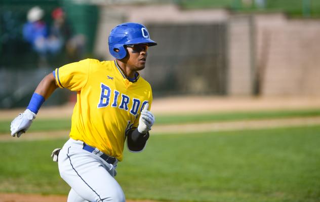 Alay Lago with the Sioux Falls Canaries
