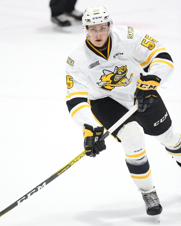 Sarnia Sting defenceman Eric Hjorth