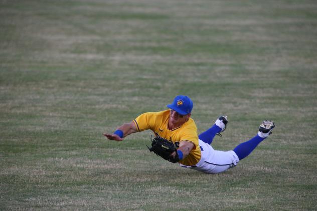 Sioux Falls Canaries make a diving effort in the outfield