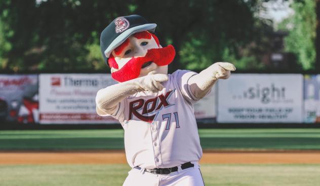 St. Cloud Rox mascot Chisel