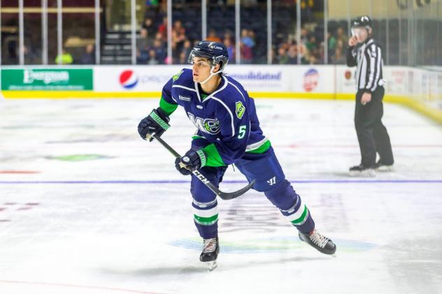 Maine Mariners defenseman Brandon Crawley