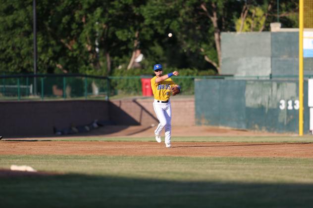 Sioux Falls Canaries third baseman Ryan Long