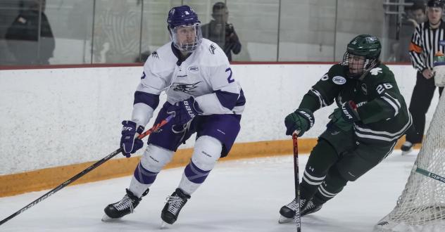 Defenseman Ryan Cook with Niagara University