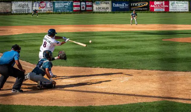 Nick Marinconz at bat for the St. Cloud Rox