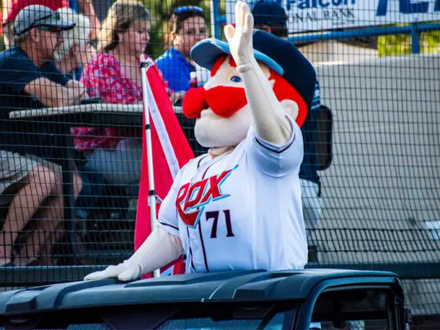 St. Cloud Rox mascot Chisel