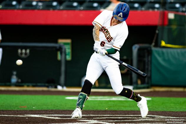 Joliet Slammers at the plate