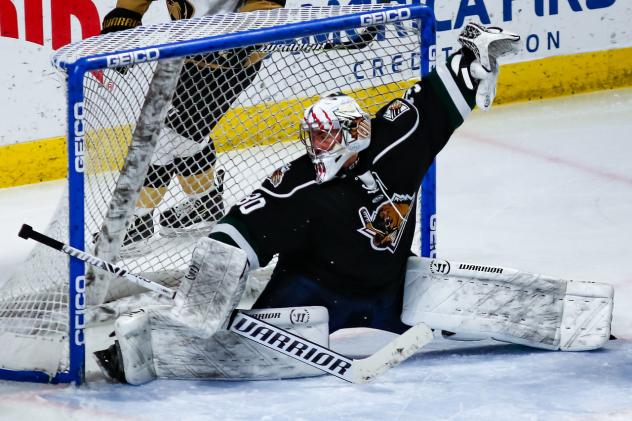 Utah Grizzlies goaltender Brad Barone
