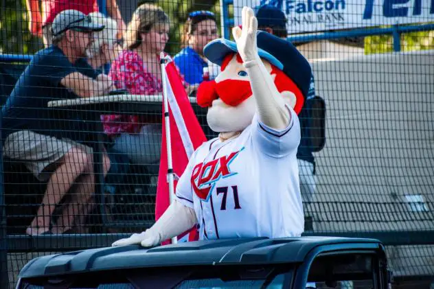 St. Cloud Rox mascot Chisel waves to the crowd