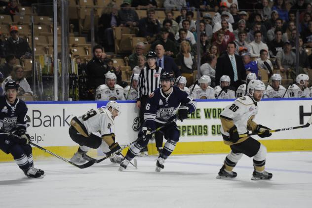 Defenseman Anthony Florentino with the Worcester Railers