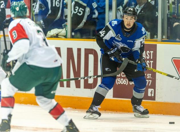 Saint John Sea Dogs in preseason action vs. the Halifax Mooseheads