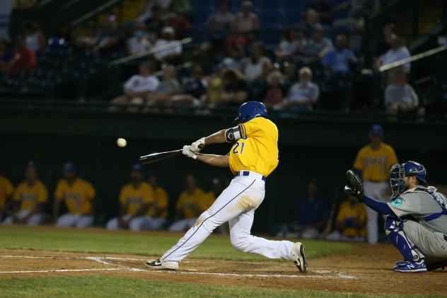 Damek Tomscha of the Sioux Falls Canaries