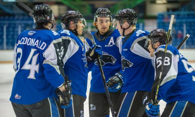 Saint John Sea Dogs huddle