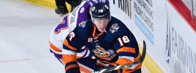 Forward Adam Rockwood with the Greenville Swamp Rabbits