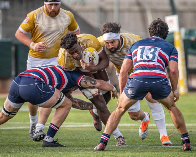 NOLA Gold's Malcolm May in action