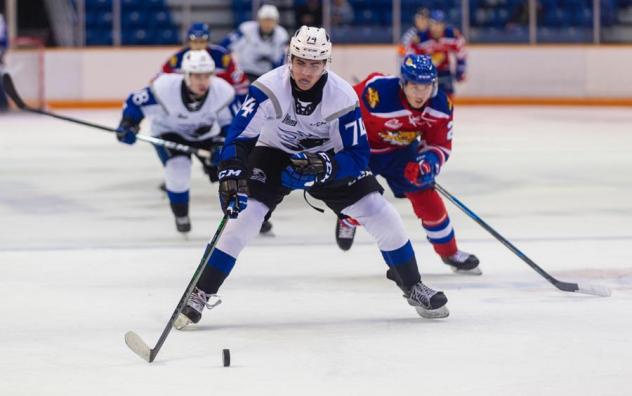 Saint John Sea Dogs vs. the Moncton Wildcats