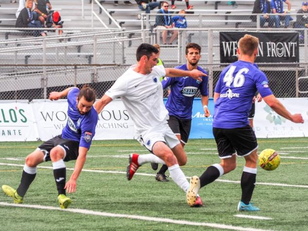 Forward Scott Doney in action