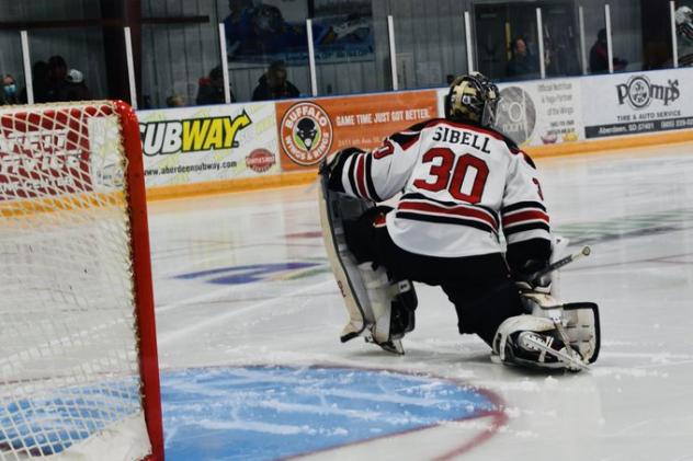 Aberdeen Wings goaltender Jake Sibell