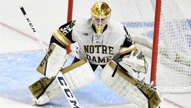 Cale Morris in goal for Notre Dame