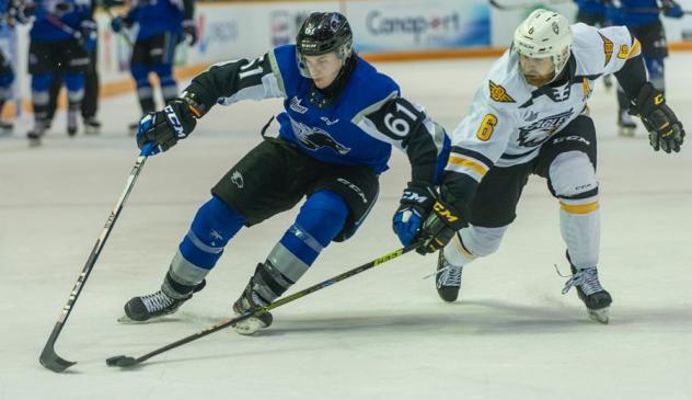 Saint John Sea Dogs centre Cam McDonald vs. the Cape Breton Eagles