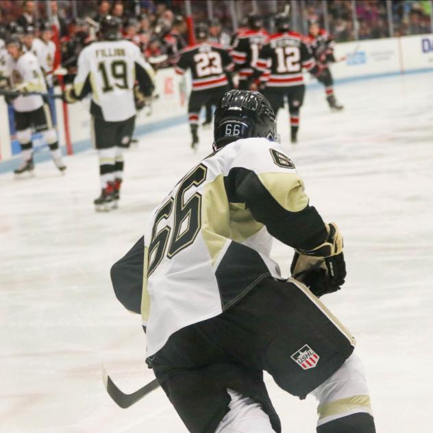 Muskegon Lumberjacks forward Danil Gushchin