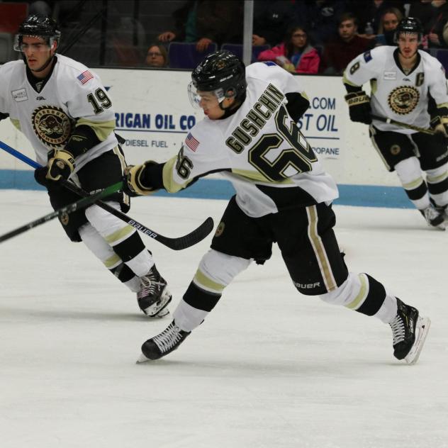 Muskegon Lumberjacks forward Danil Gushchin