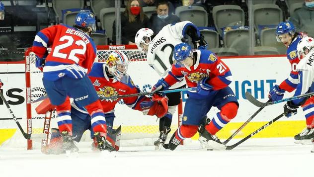 Saint John Sea Dogs vs. the Moncton Wildcats