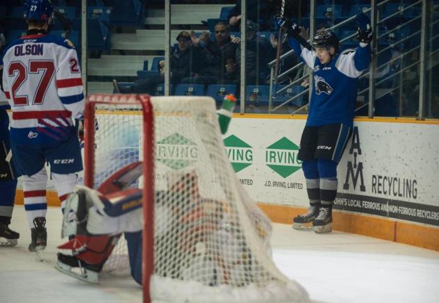 Saint John Sea Dogs vs. the Moncton Wildcats