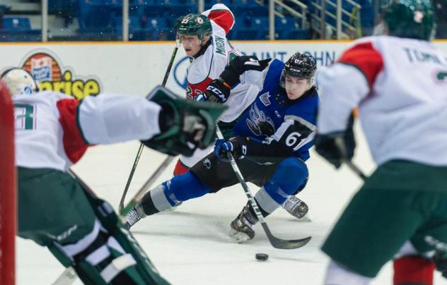 Saint John Sea Dogs centre Cam McDonald surrounded by Halifax Mooseheads