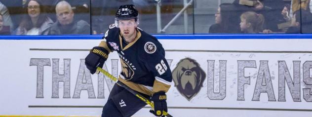 Forward Aaron Luchuk with the Newfoundland Growlers