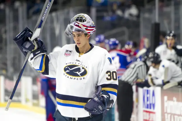 Sioux Falls Stampede goaltender Derek Mullahy vs. the Des Moines Buccaneers