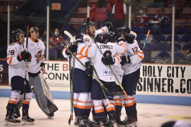 Greenville Swamp Rabbits celebrate a goal