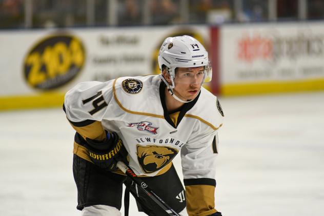 Forward Trey Bradley with the Newfoundland Growlers