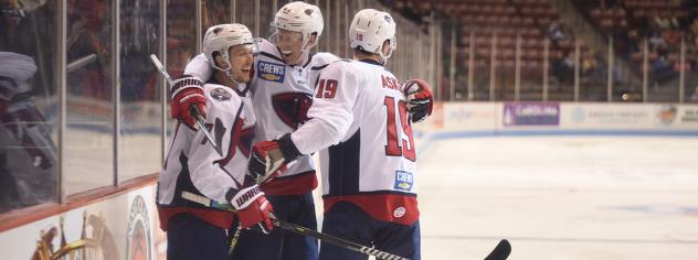 South Carolina Stingrays celebrate a goal