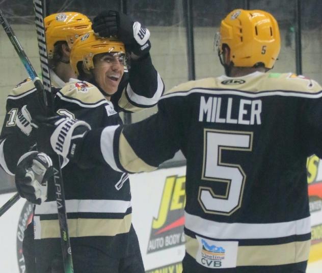 Wheeling Nailers celebrate a goal against the Indy Fuel