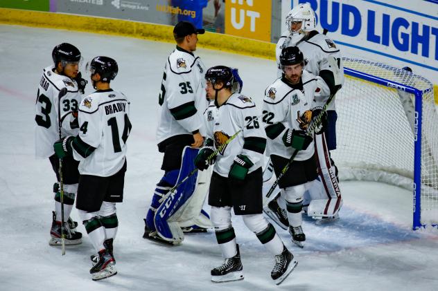 Utah Grizzlies exchange congratulations after a win