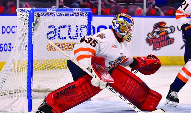 Greenville Swamp Rabbits goaltender Ryan Bednard