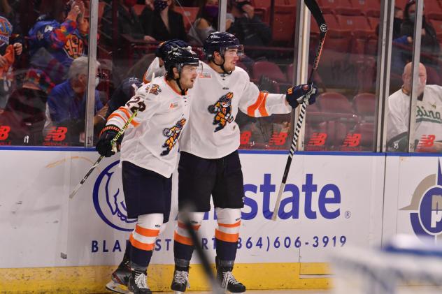 Greenville Swamp Rabbits react after a goal