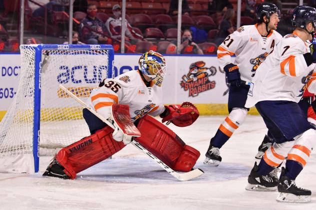 Greenville Swamp Rabbits goaltender Ryan Bednard