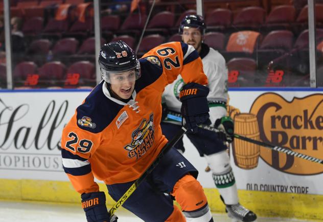 Greenville Swamp Rabbits defenseman Jack Sadek